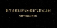 数字金库实现NEWG快速兑换BTC，数字黄金价值持续飙升！