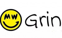 Grin 成为 ASIC 友好项目，超过 51% 的区块奖励属于 ASIC