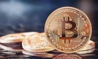 比特币逼近两万美元大关，是新一轮郁金香泡沫吗？