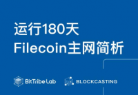 运行180天，Filecoin主网简析