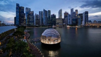 新的加密货币安全港 —— 新加坡