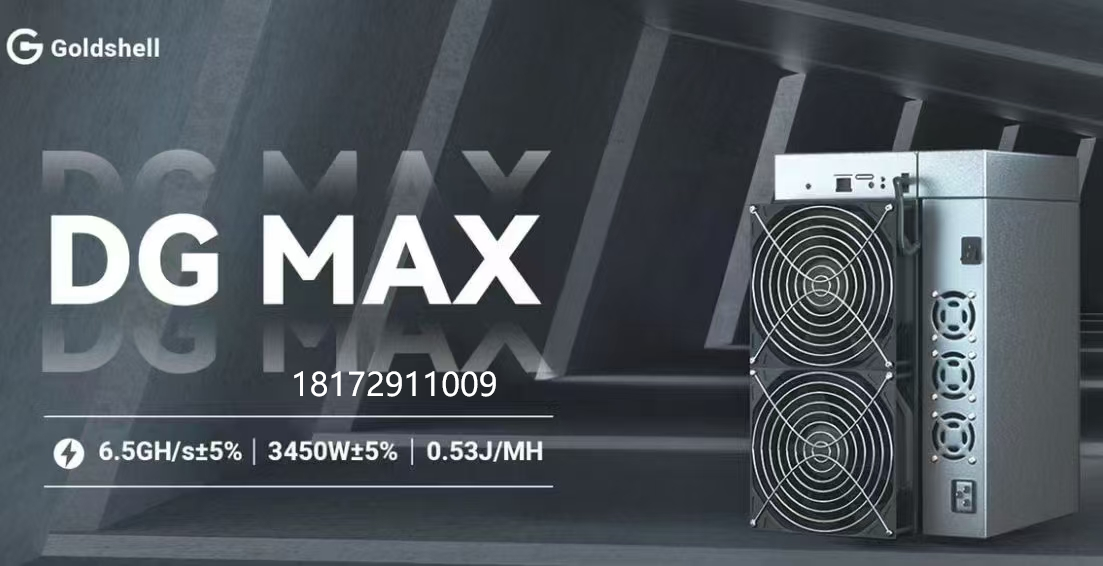 金贝DG max一手准现货，7个月回本