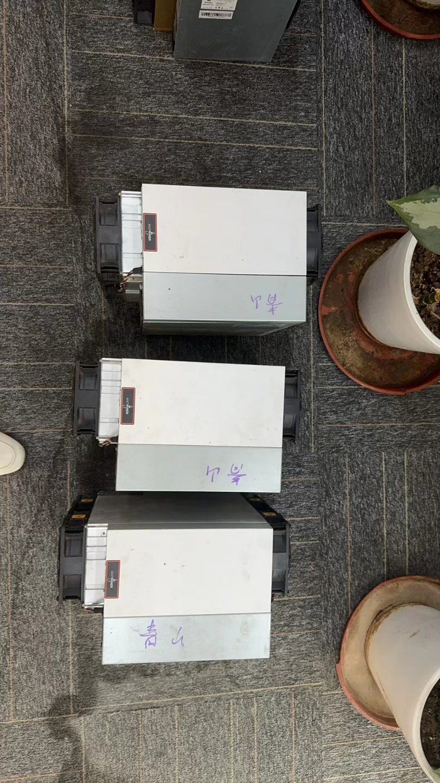 探索蚂蚁L7 9050M算力的高效挖掘体验