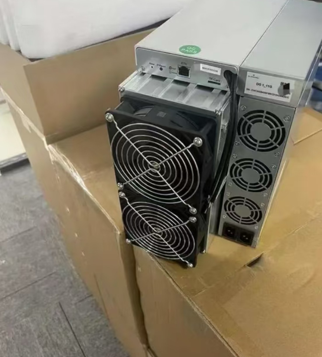 狗王dg1   14g