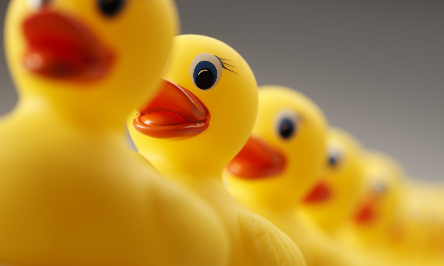 rubber-duck-e1482876740287