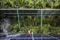 Solarplaza照亮了区块链绿色能源的前景