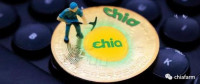 解析丨你真的懂Chia 的P盘吗？哪些行为又会影响到P盘和挖矿呢？