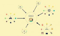 连老奶奶都来问的DAO，到底是个啥？