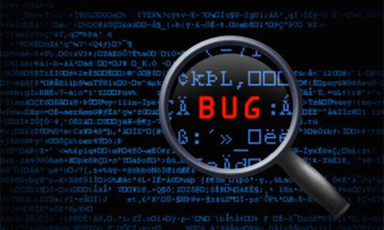 Software-Bugs